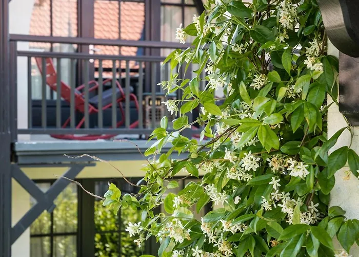 D'hiver 4* آركاشو