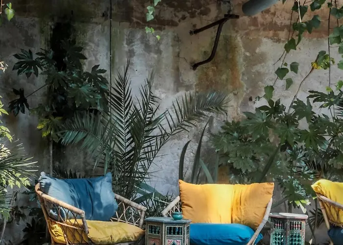 D'hiver فندق آركاشو