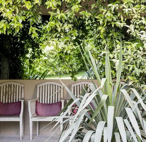 D'hiver آركاشو